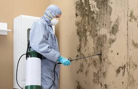 Best Mold Removal for HVAC Installations  in USA